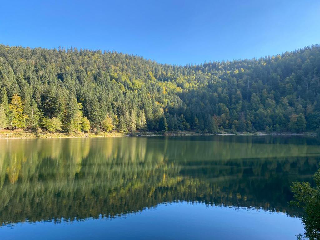 Le Bois Des Neiges Charmant Chalet Authentique A 5 Mn De Gerardmer Xonrupt-Longemer Exterior foto