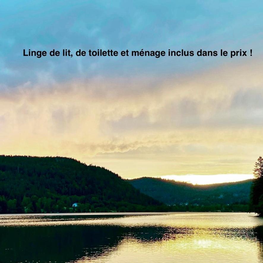 Le Bois Des Neiges Charmant Chalet Authentique A 5 Mn De Gerardmer Xonrupt-Longemer Exterior foto